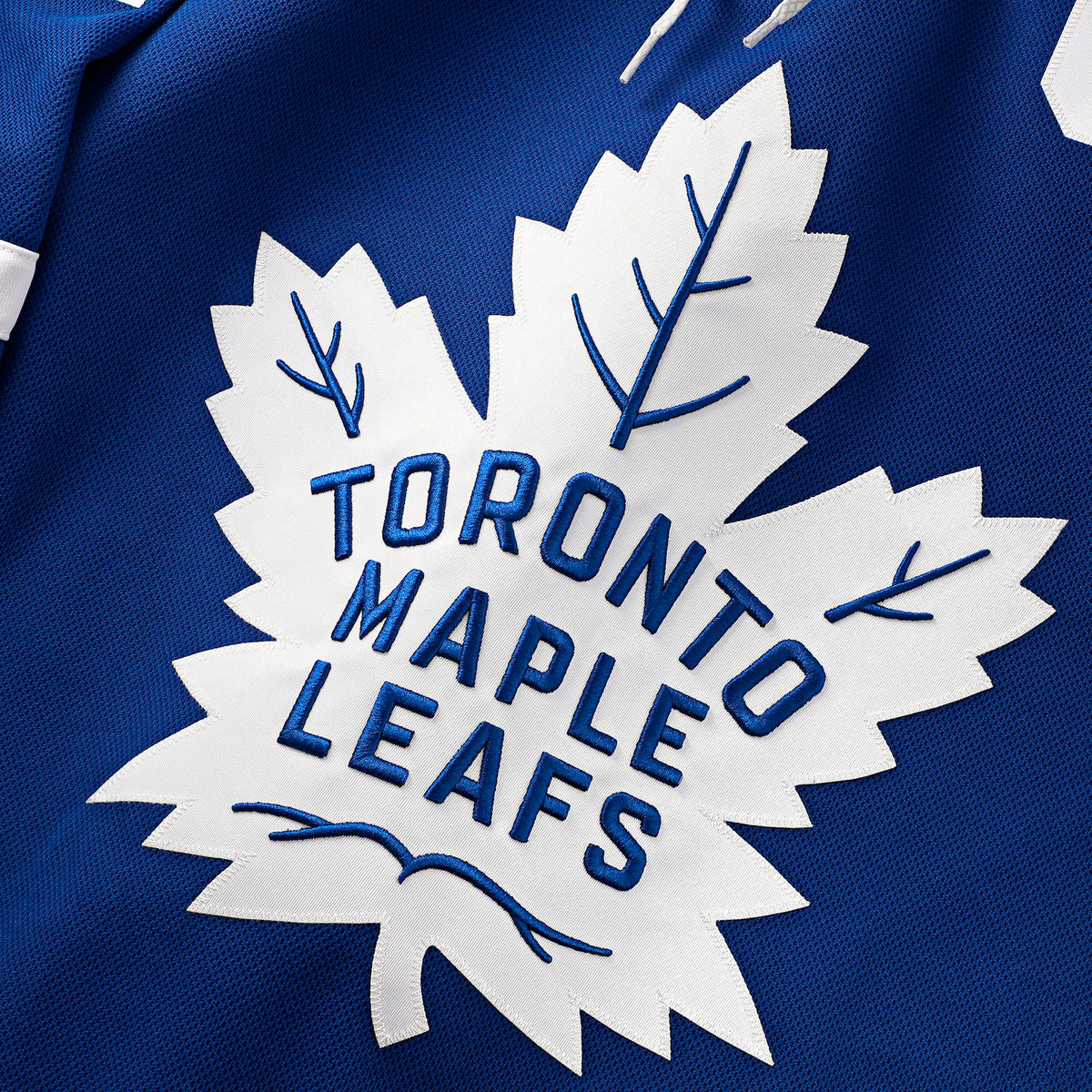 Customizable Toronto Maple Leafs 2024 Fanatics Premium Official NHL HO ...