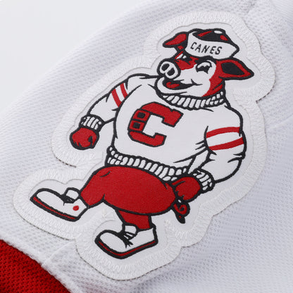 Customizable Carolina Hurricanes 2025 Fanatics Premium Official NHL Away Jersey